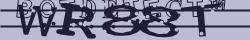 Retype the CAPTCHA code from the image